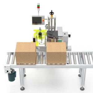 Box/Carton Online Printing Labeler